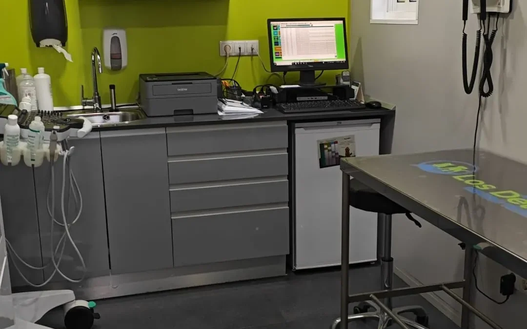 veterinarialosdelfines 13