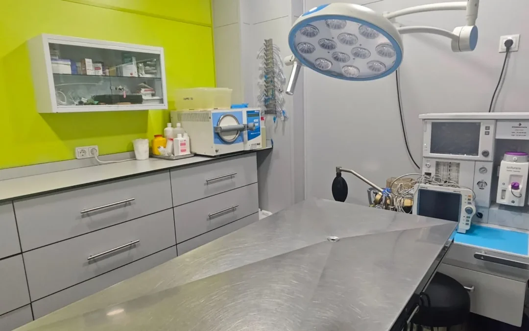 veterinarialosdelfines 3