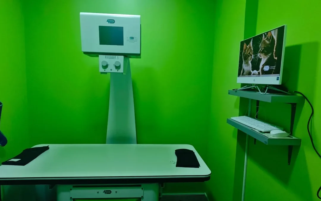 veterinarialosdelfines 4