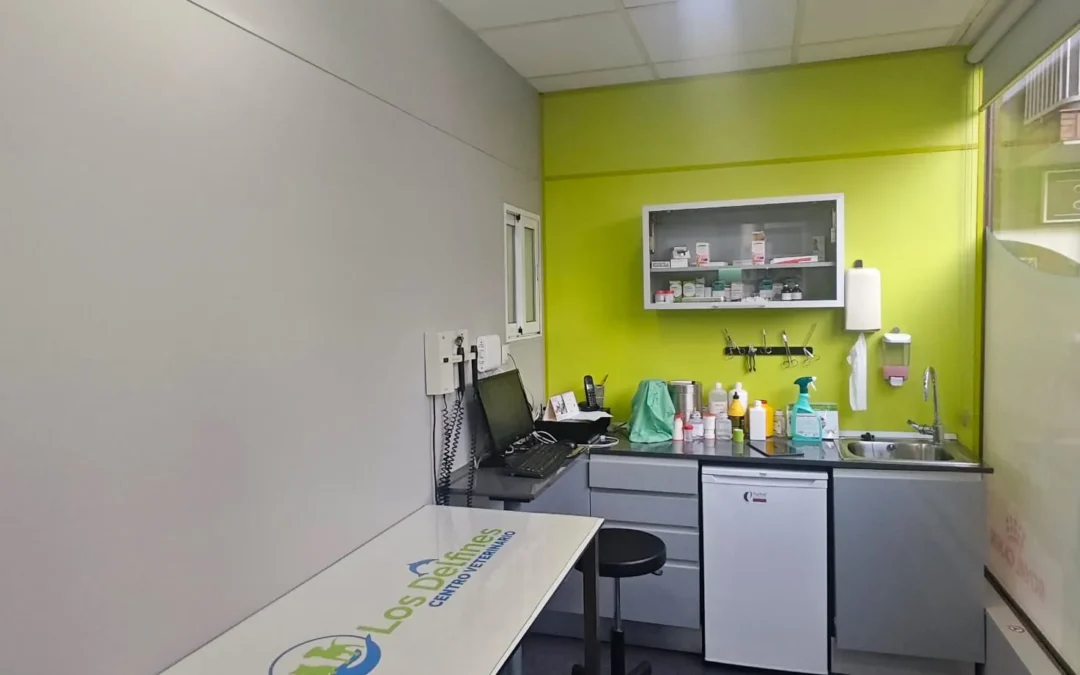 veterinarialosdelfines 9